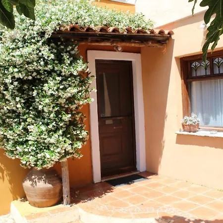 Varias Art House