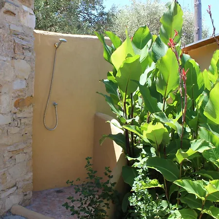 Varias Art House