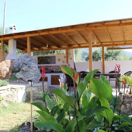Varias Art House *