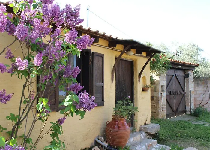 Varias Art House Apartman *