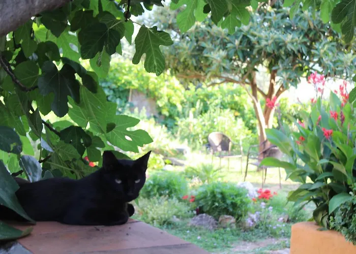 Varias Art House * Kallirakhi